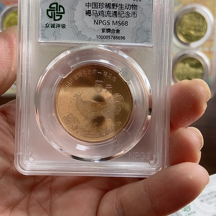 合金褐马鸡 众诚评级68分