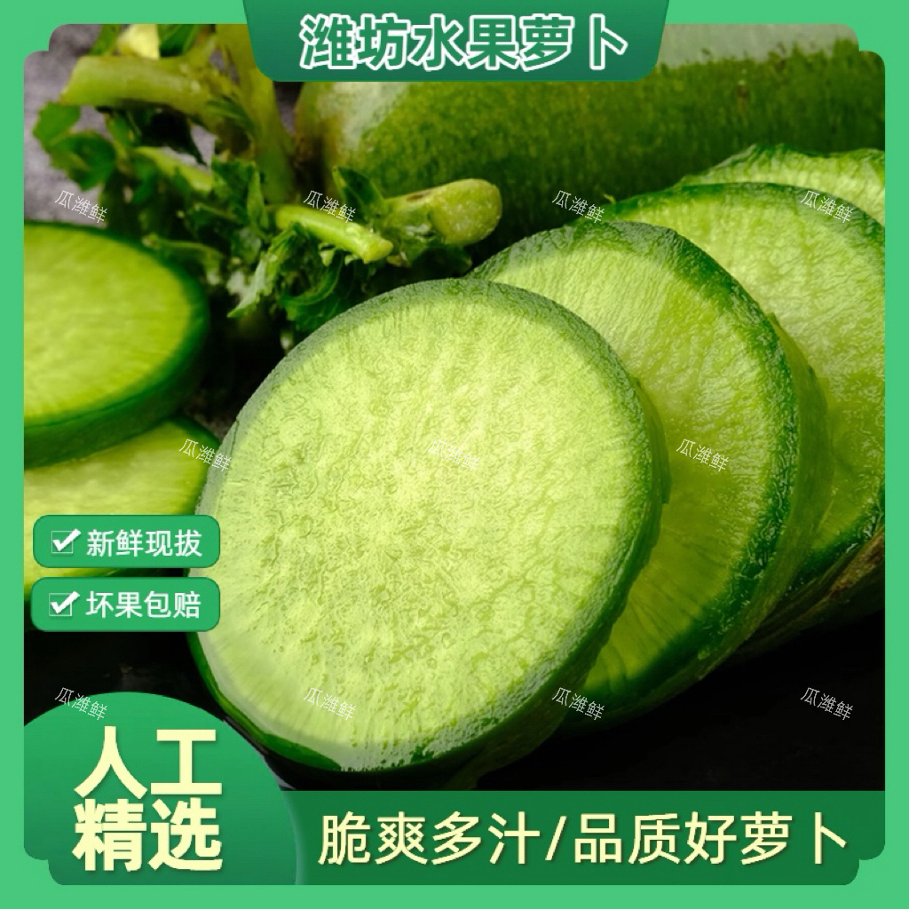 【天星2号】现拔潍坊水果萝卜天星02新鲜现挖脆甜多汁可生吃