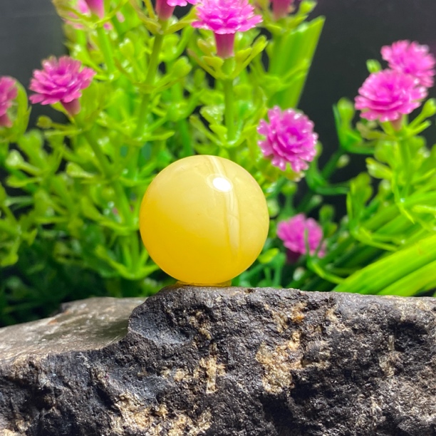 天然原矿俄料蜜蜡单珠16.6mm无任何优化处理