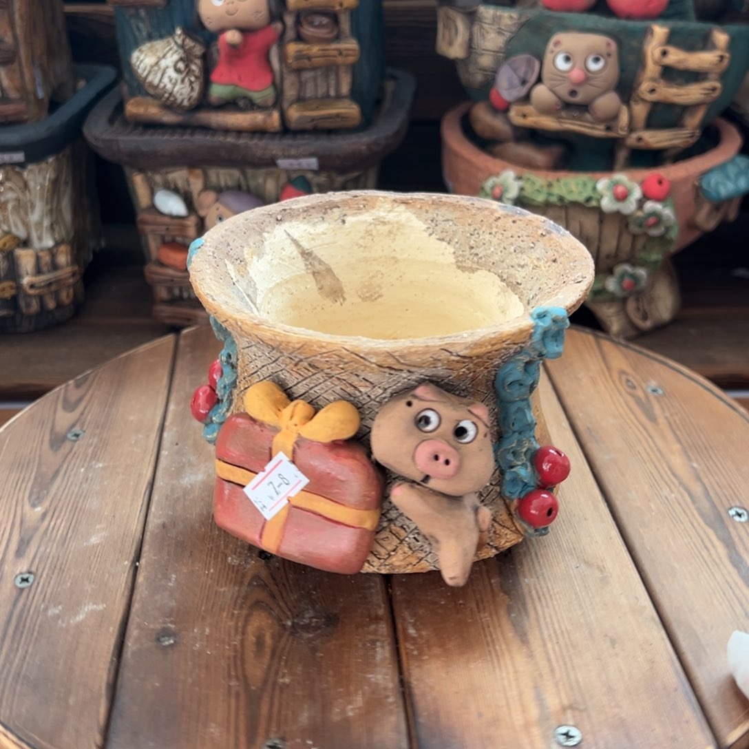 红陶嘻哈多肉花盆