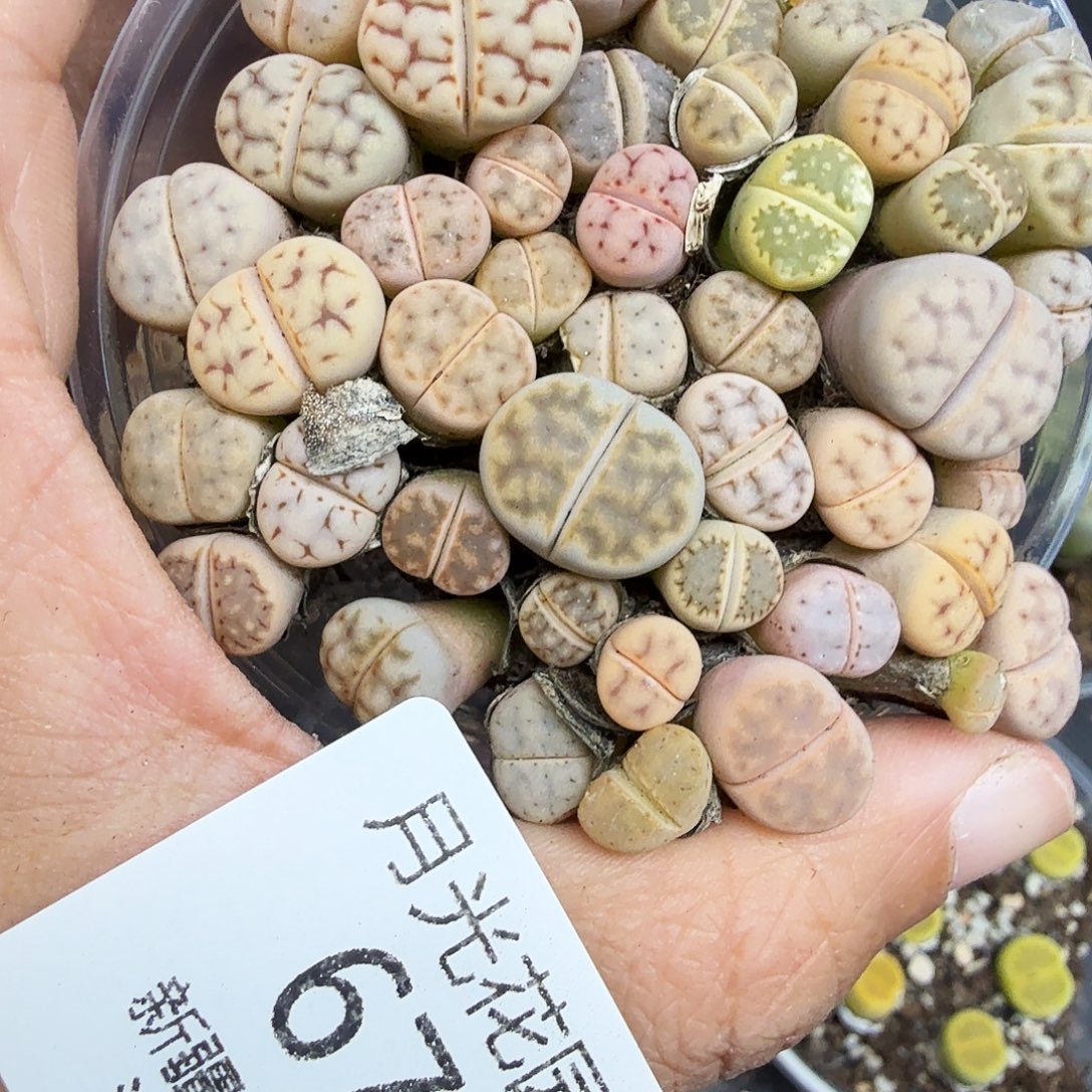 是一个不想被爱包围了678这个