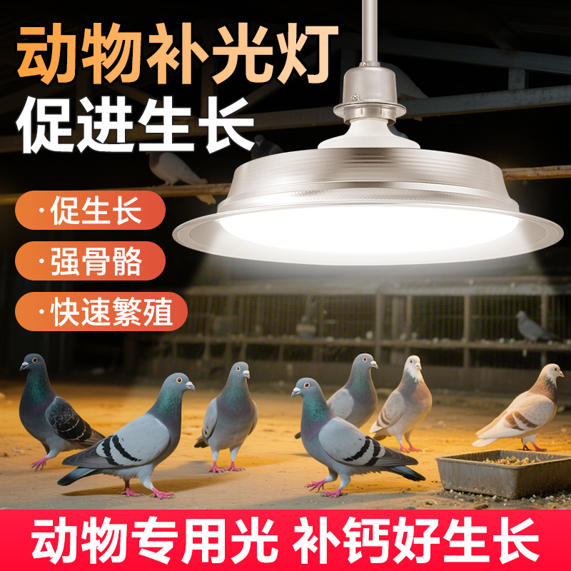 动物生长灯鸟类鹦鹉鸽子繁殖灯宠物禽畜养殖场专用全光谱补光灯