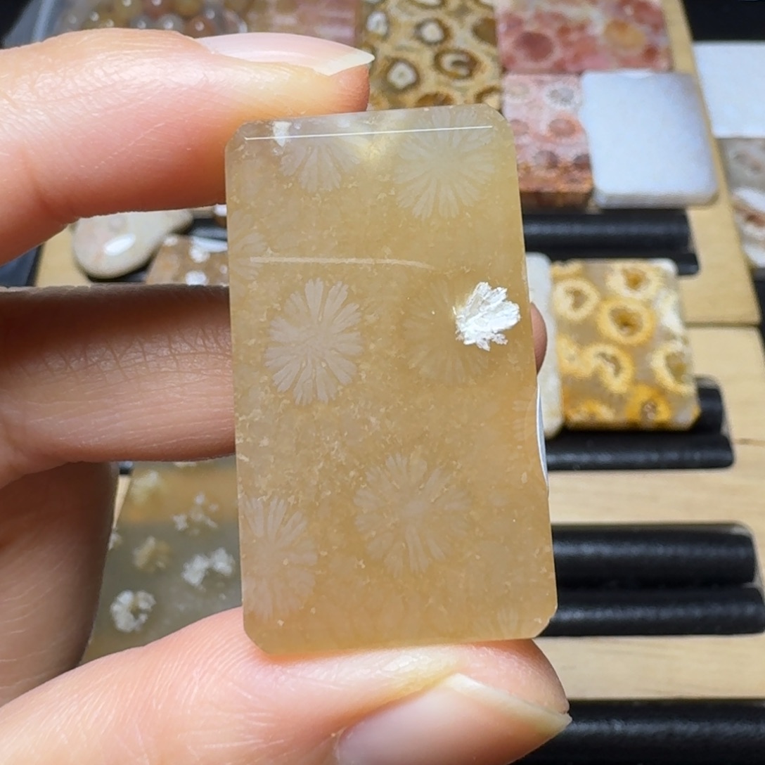 硅化玉有点骨骼的糖大花未镶嵌