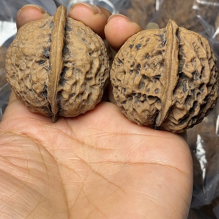 文玩核桃把件云南铁核桃57