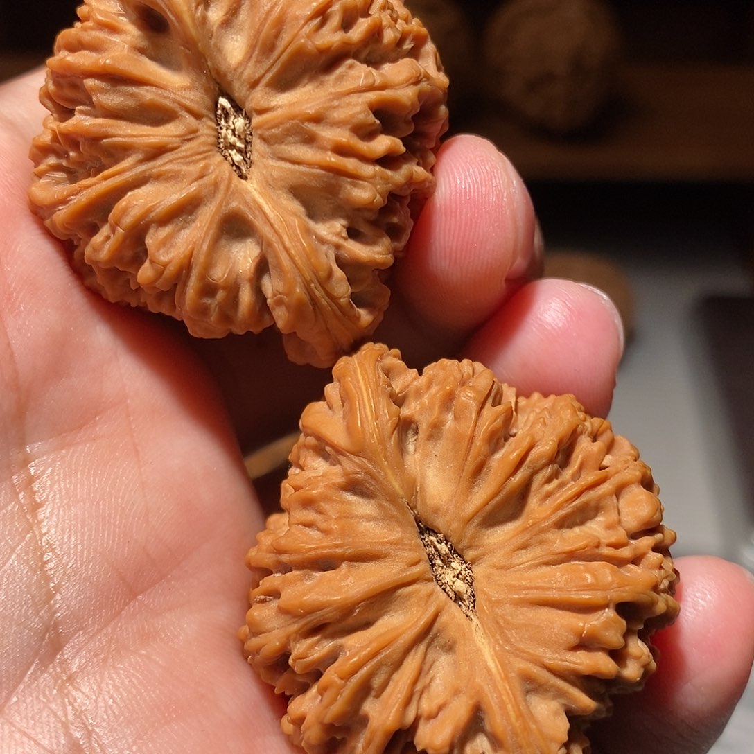 身***呀把件文玩核桃039南将石收藏级毕业了43尺全品头货