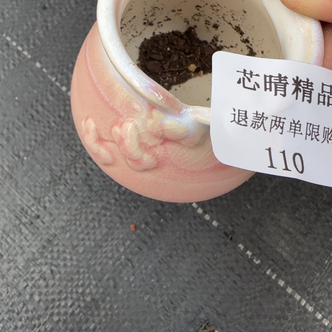 闪购精品多肉110号