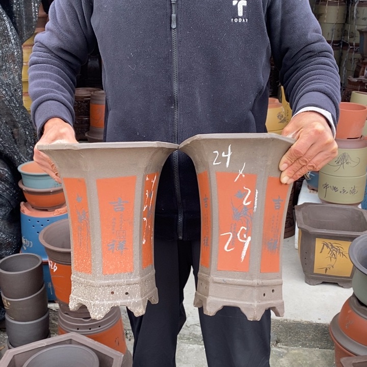 紫砂花盆盆栽花卉苗木种植