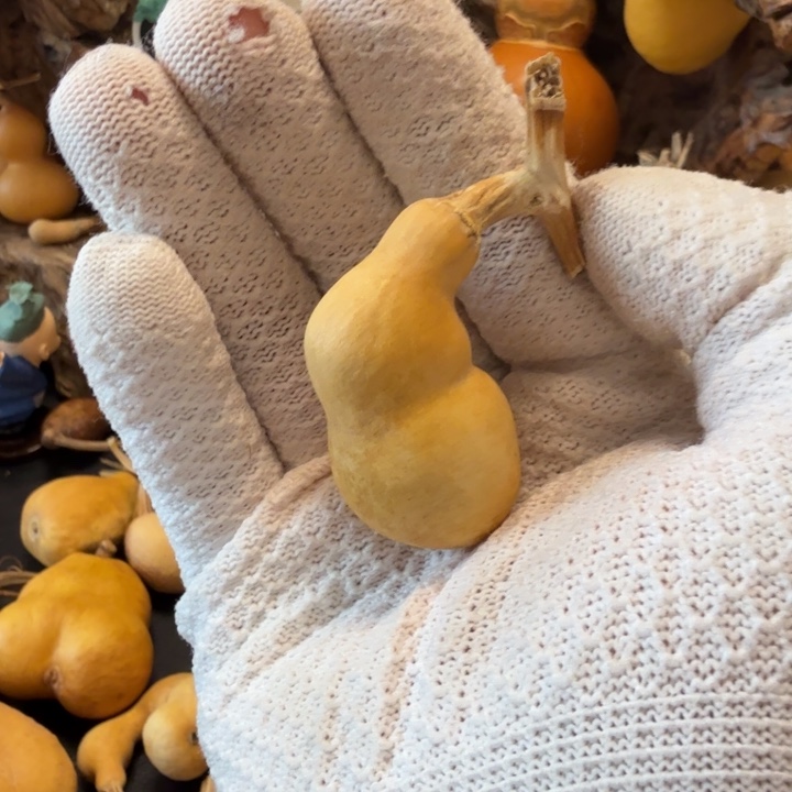 z***r66……………………………………