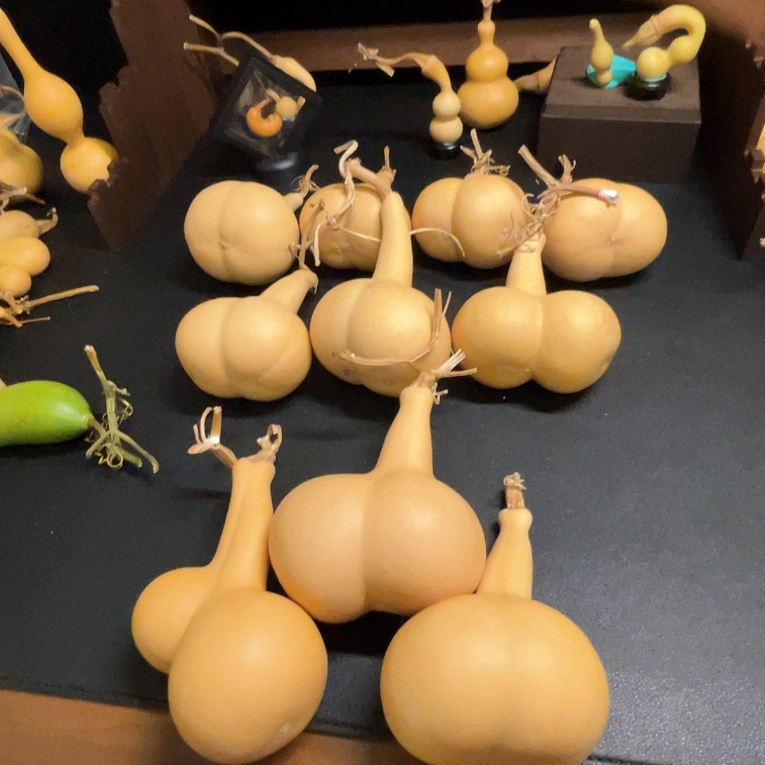 山*好哈哈哈哈好好好好好哈哈哈