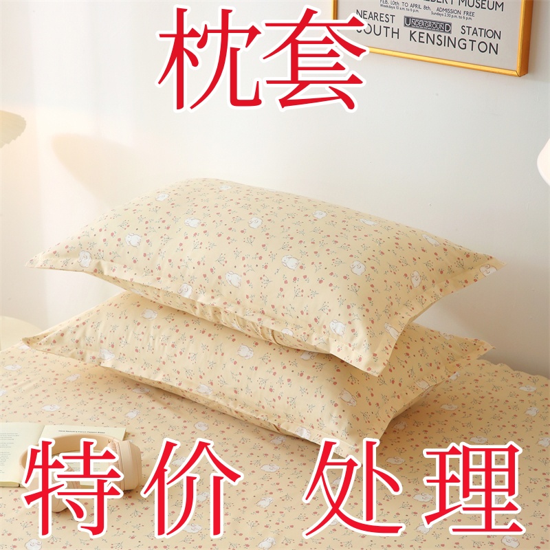 枕套一对成人枕头套亲肤透气家用枕芯套单只学生宿舍48cmx74cm女