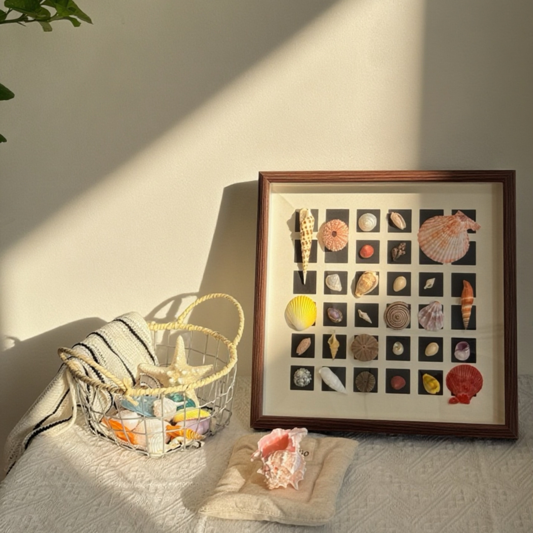 【一物一拍】天然贝壳海螺 收藏寄居蟹鱼缸造景 手工DIY