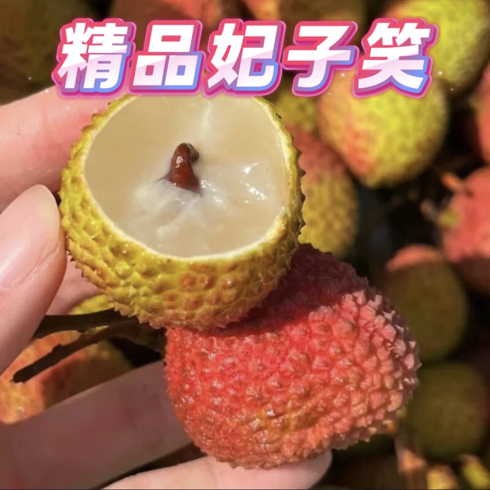 高州妃子笑荔枝清甜多汁新鲜当季水果现摘现发