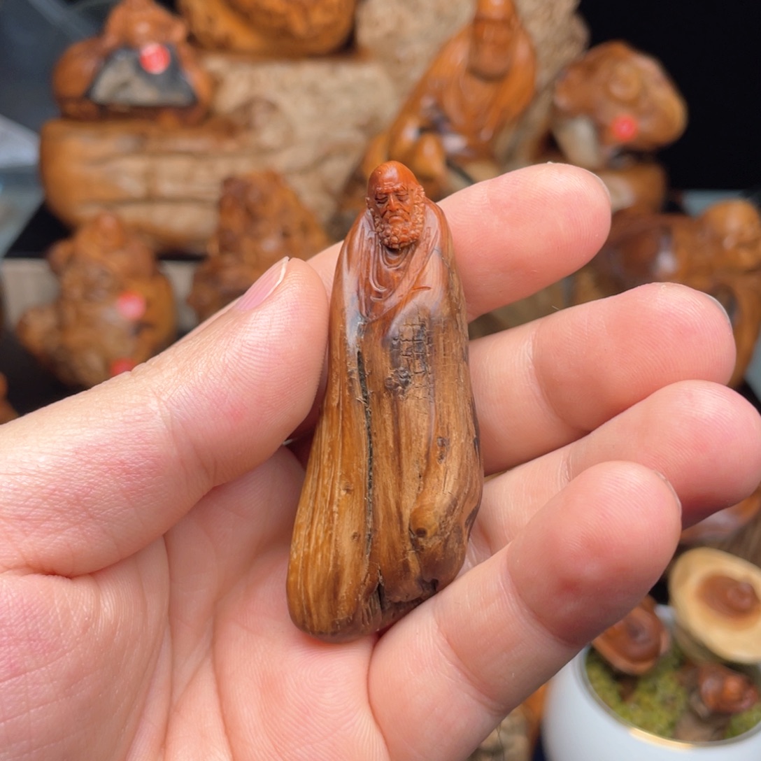 柏木255332565555555