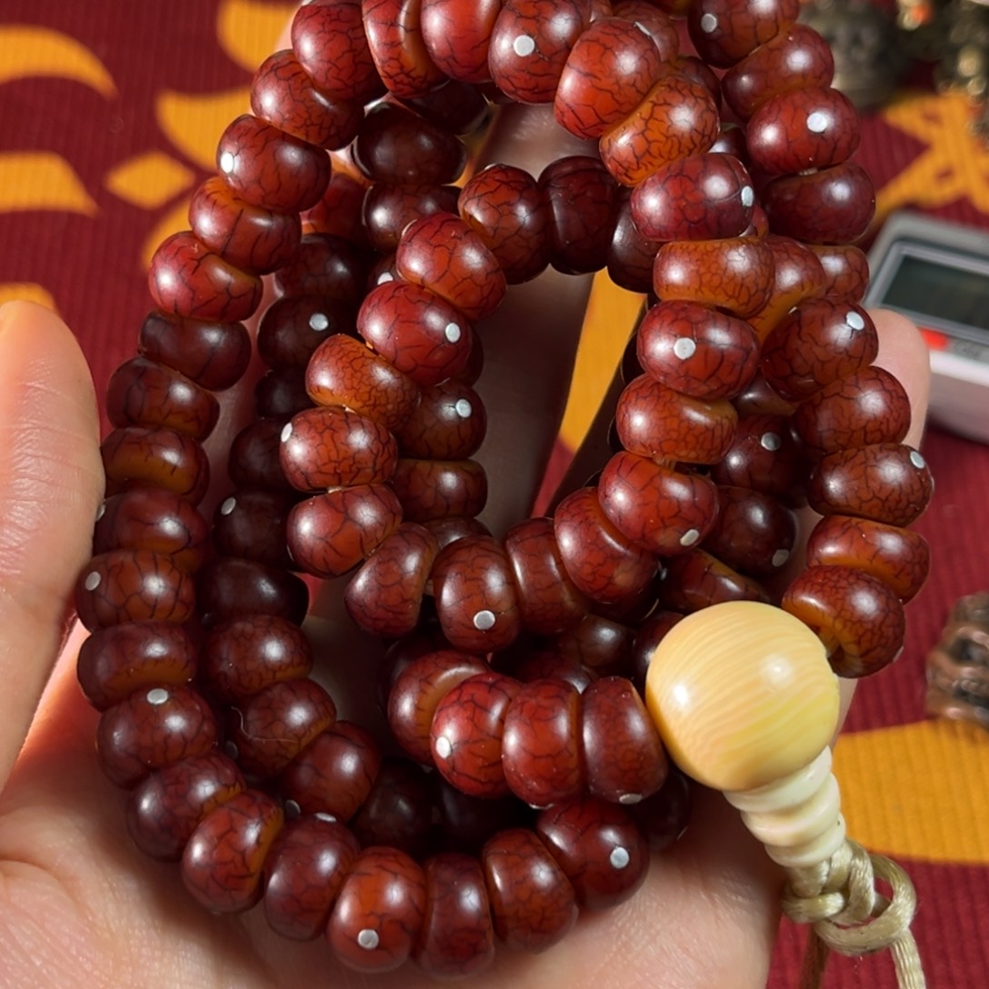 吊坠菩提根/象牙果