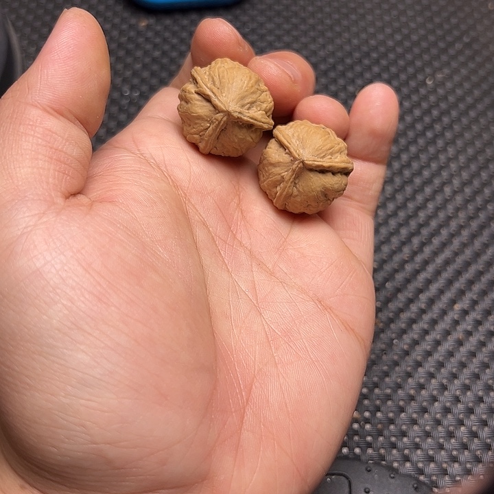 文玩核桃吊坠三棱