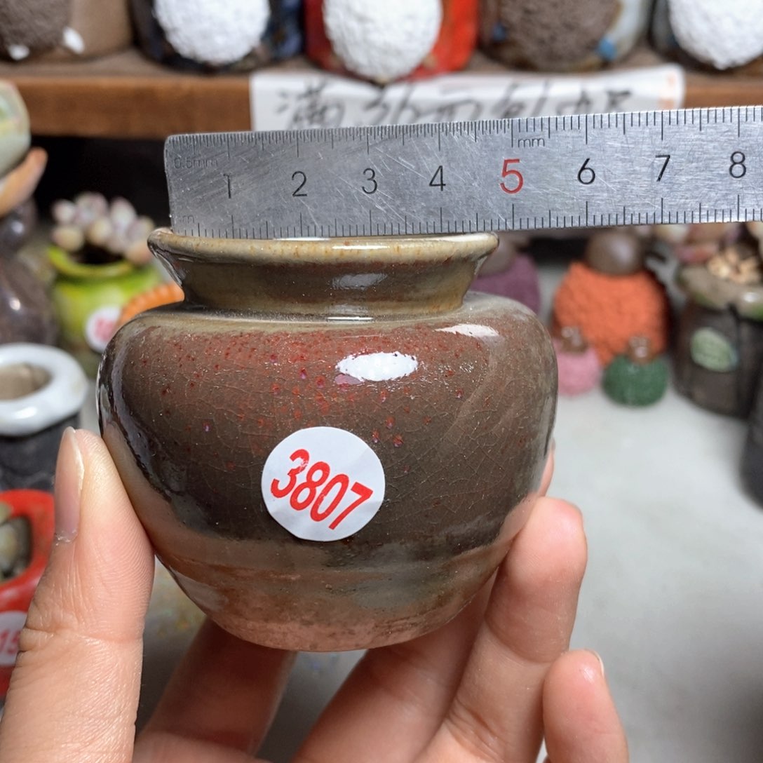 拍5送一个小礼物