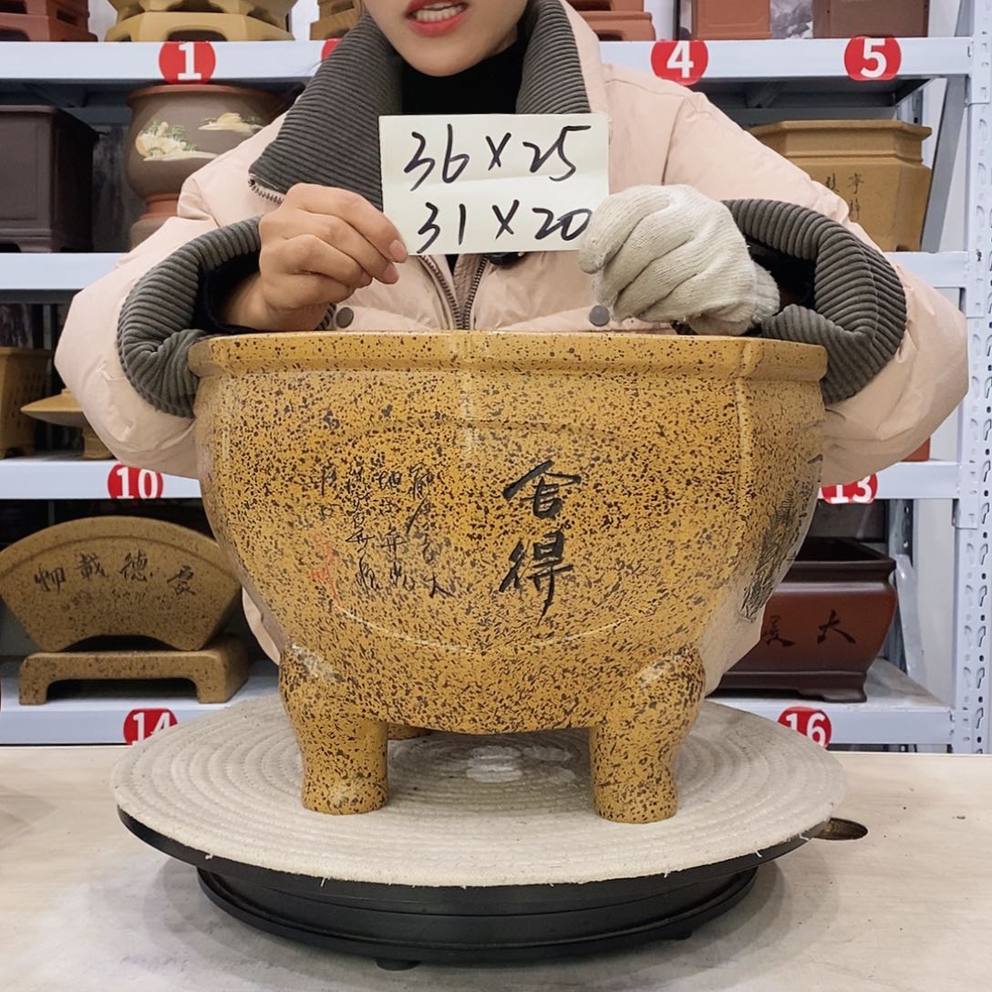 紫砂花盆紫砂花盆