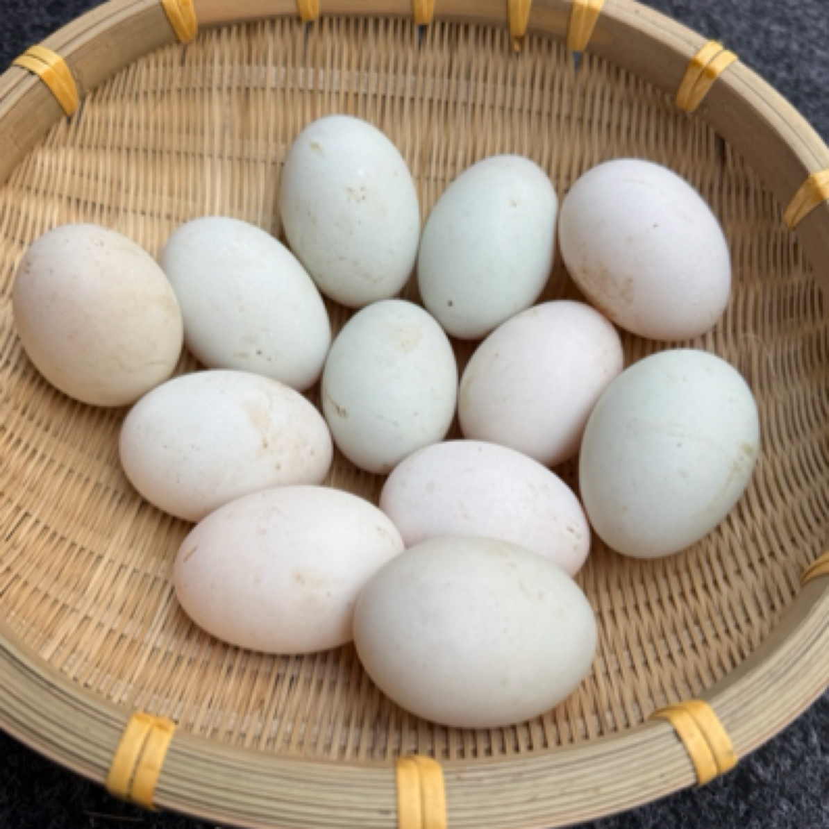 【番鸭蛋】江西玉山正宗新鲜坏蛋包赔（顺丰包邮）