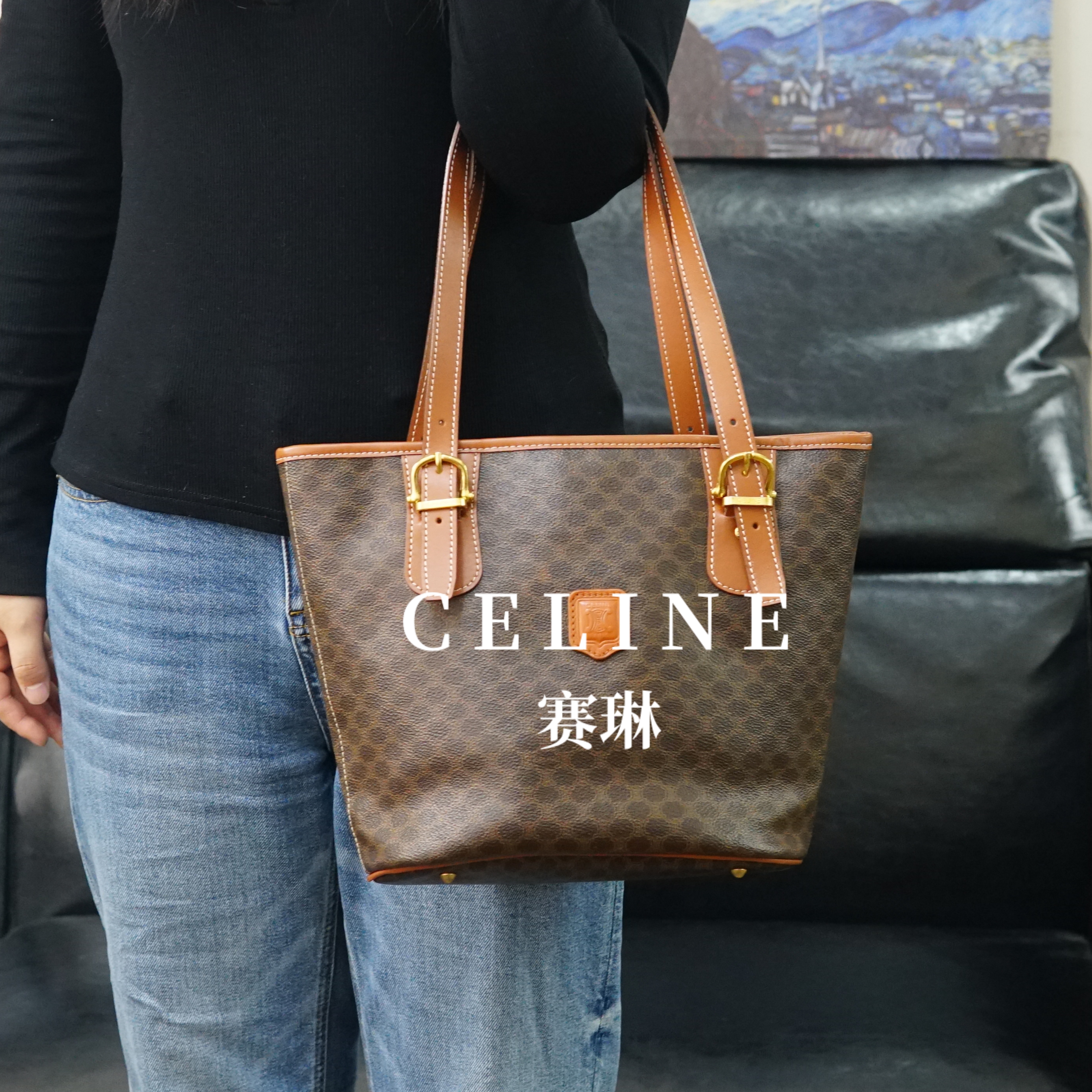 95新 Celine/思琳 老花单肩包/JJ01123123/3123