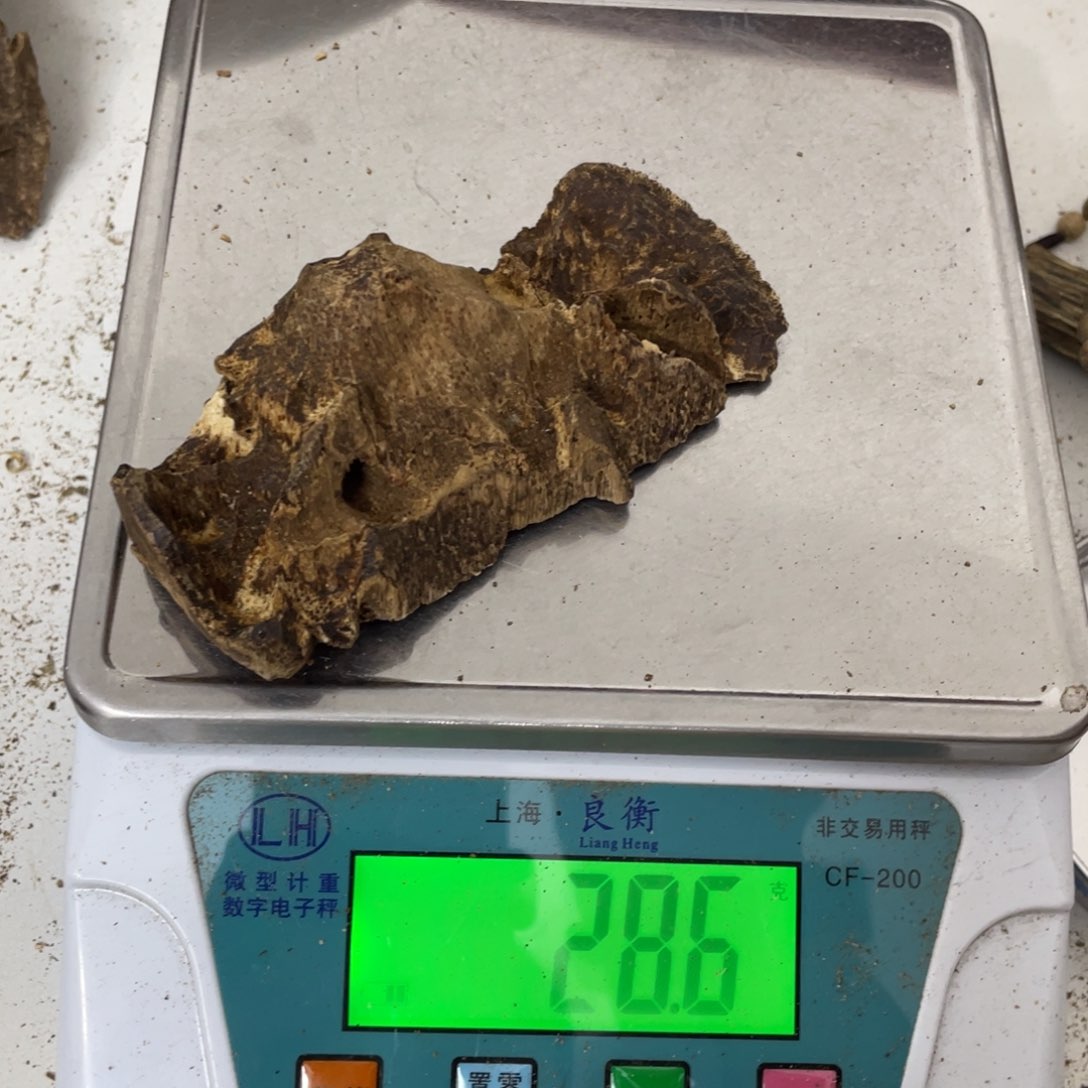 沉香摆件海南树心油28克