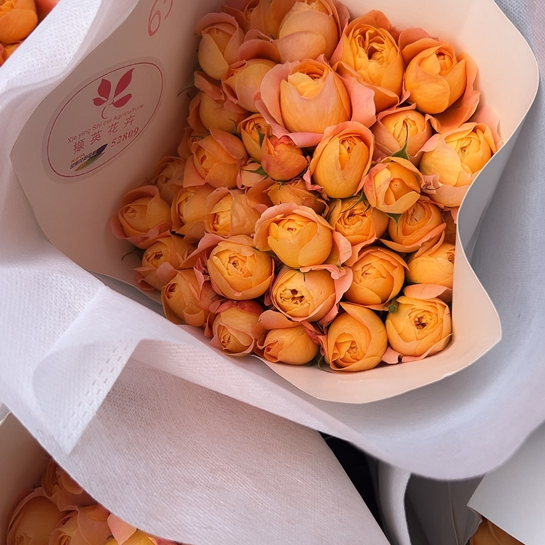 果汁阳台果汁阳台