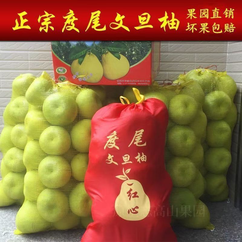 【顺丰包邮】新鲜采摘仙游度尾文旦柚没有虾线不沾皮柚子孕妇水果