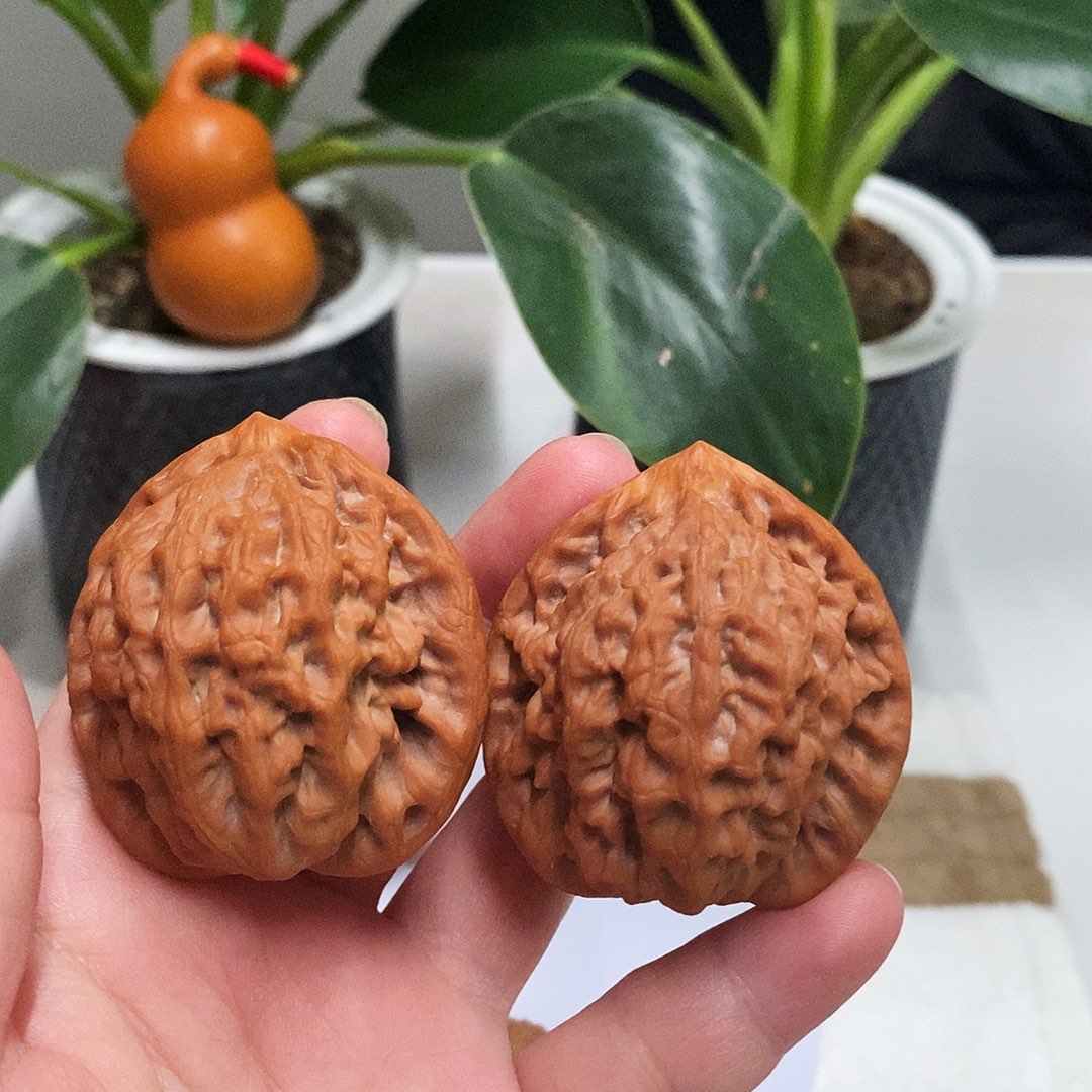 蟹***板木质金公子—————-48.6