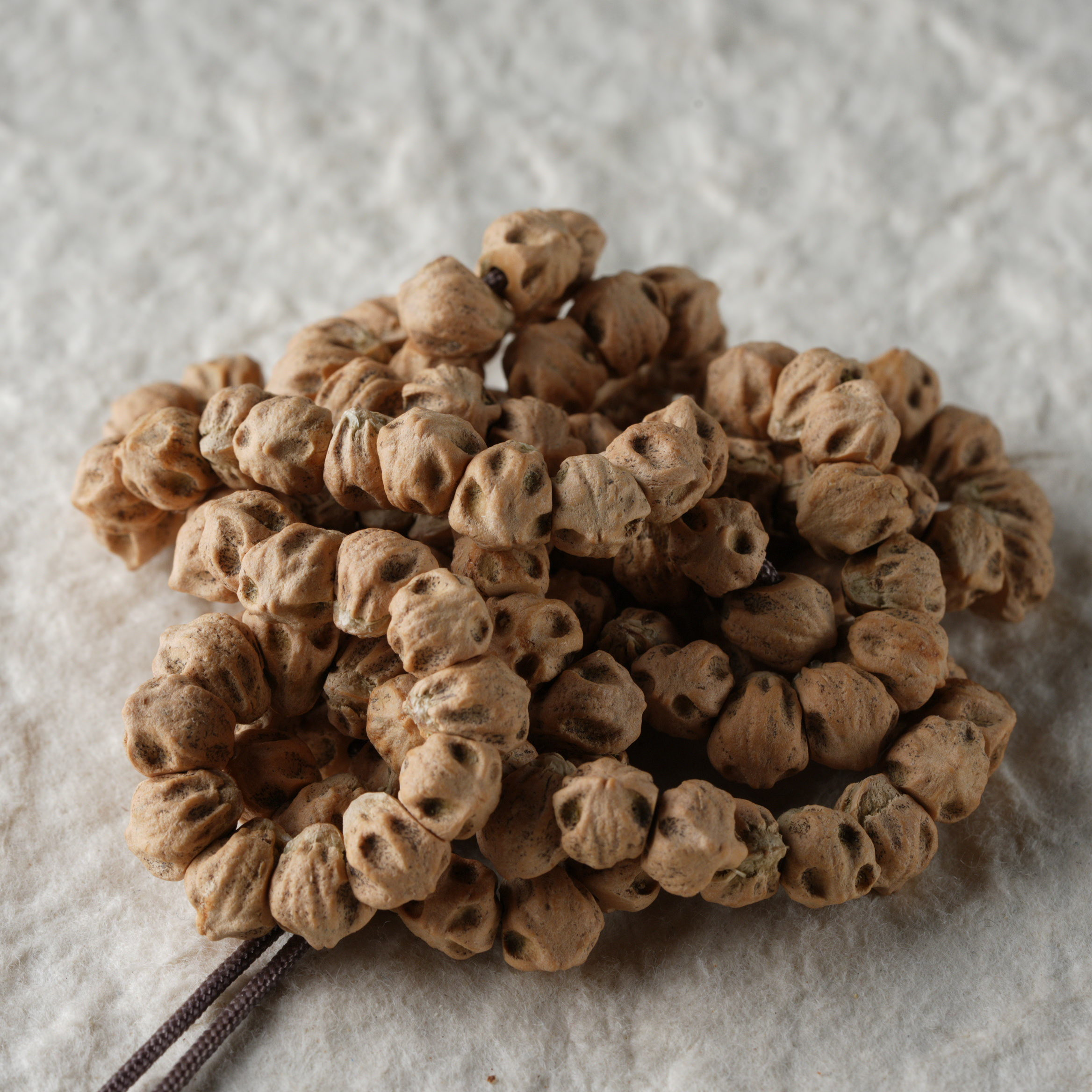 柏香籽/百香籽（编号 F248） 天然文玩 尺寸 7