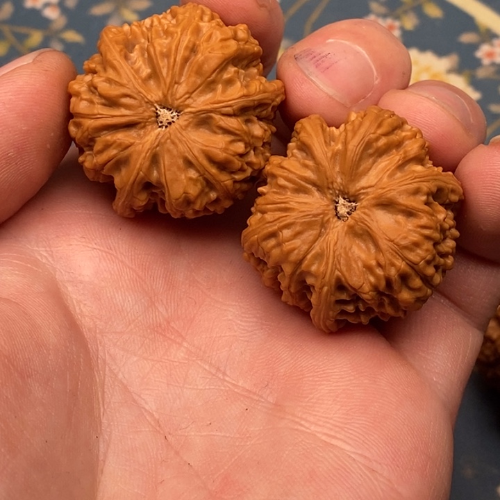 文玩核桃把件三棱34