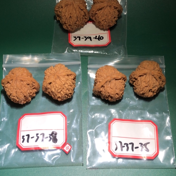 文玩核桃吊坠南疆3