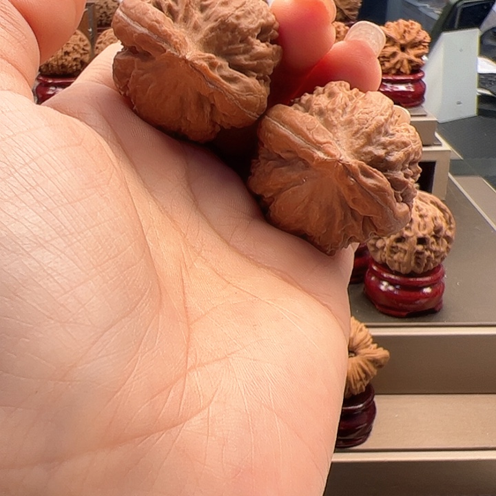 把件文玩核桃36 霸王龙 u-026