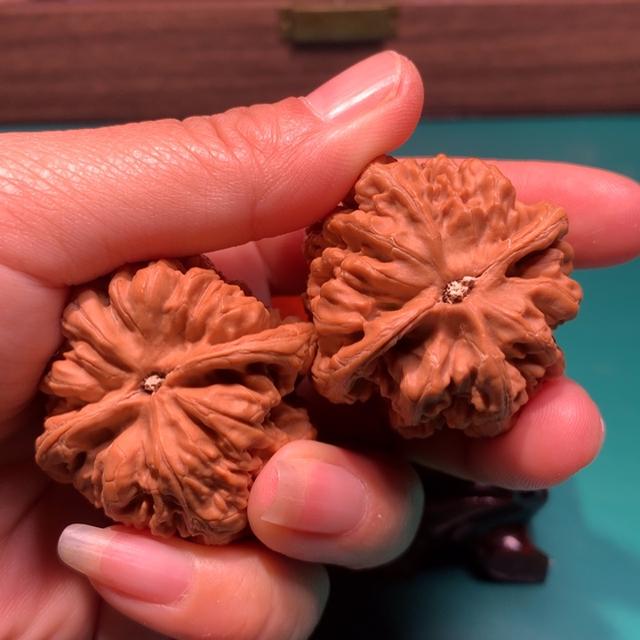 把件文玩核桃大粗筋