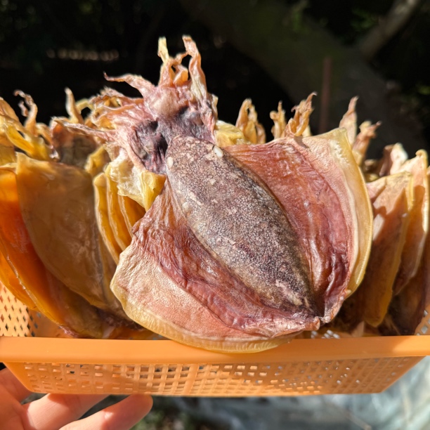 淡干小墨鱼｜泡发半小时炖汤东海本港淡水墨鱼干儿童孕妇炖汤