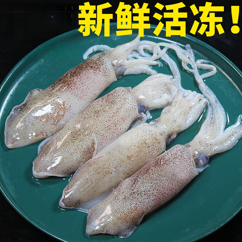 原浆海兔 笔管鱼一箱5斤（个别有掉头现象介意勿拍）