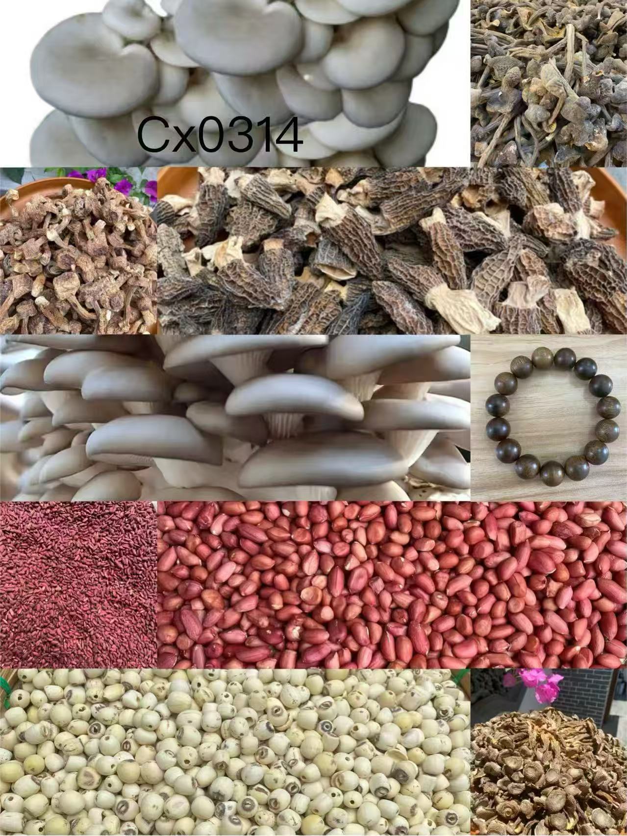 《阿浩专用土特产CX0314》多样性发货 重量28克左右