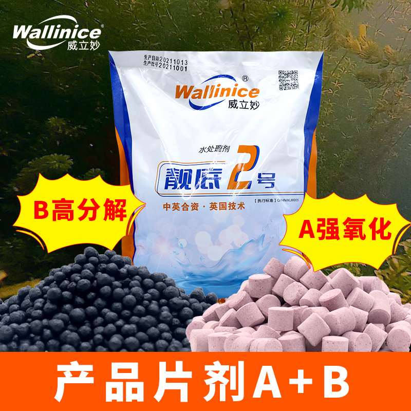 靓底2号新型强氧化改底水产养殖鱼虾蟹塘除黑臭泥降氨氮亚硝酸盐