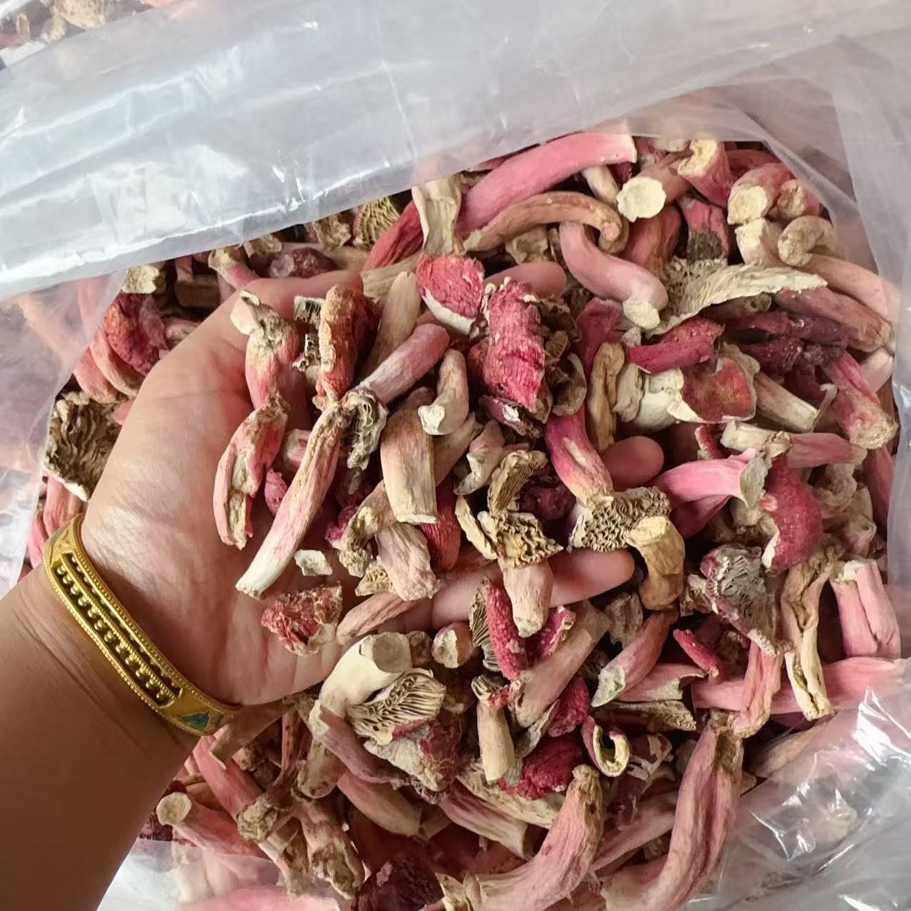 【2025年广西 菇腿 浪水新菇  】野生红菇 碎菇 250g