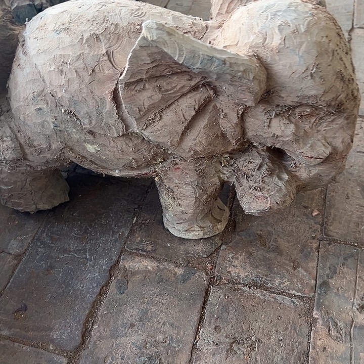 花梨木类8888888888888888