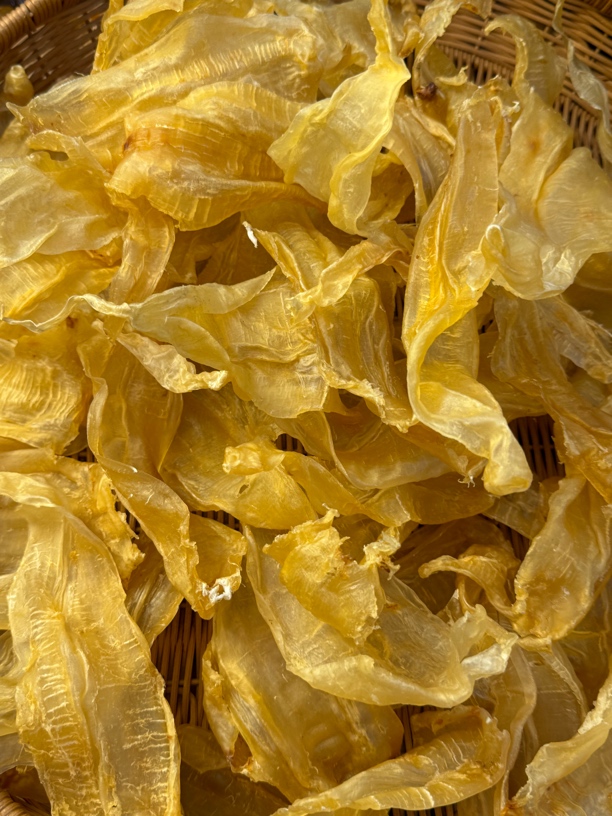 广东三念公鱼胶1-500g