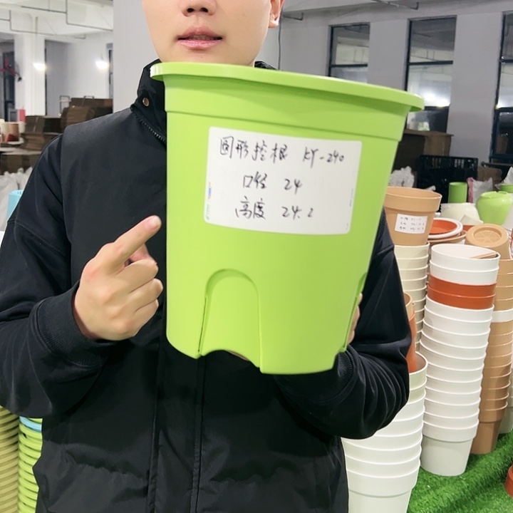 正品圆控口24高24果绿色8只无托