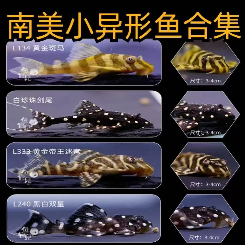 偏远地区补运费差价专用链接以及圆通升级顺丰京东