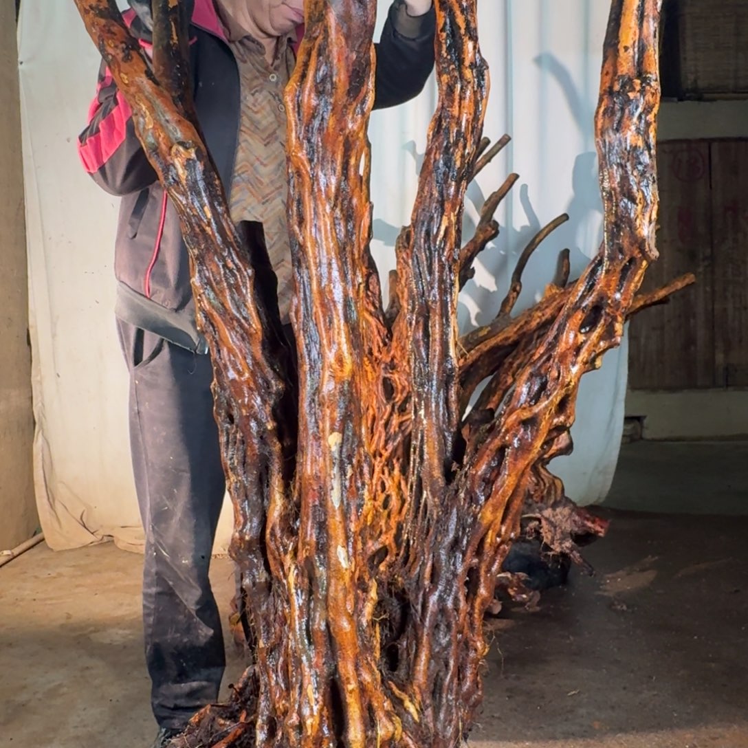 缘***@88888888888888888