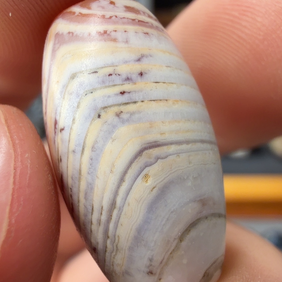 古珠直发专用链接