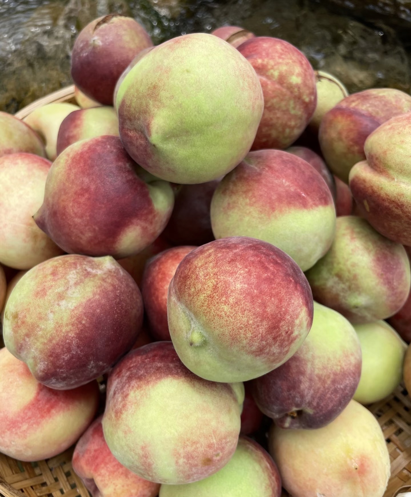 【到手30个】脆甜蜜桃 新鲜应季水果孕妇适用农家自种1