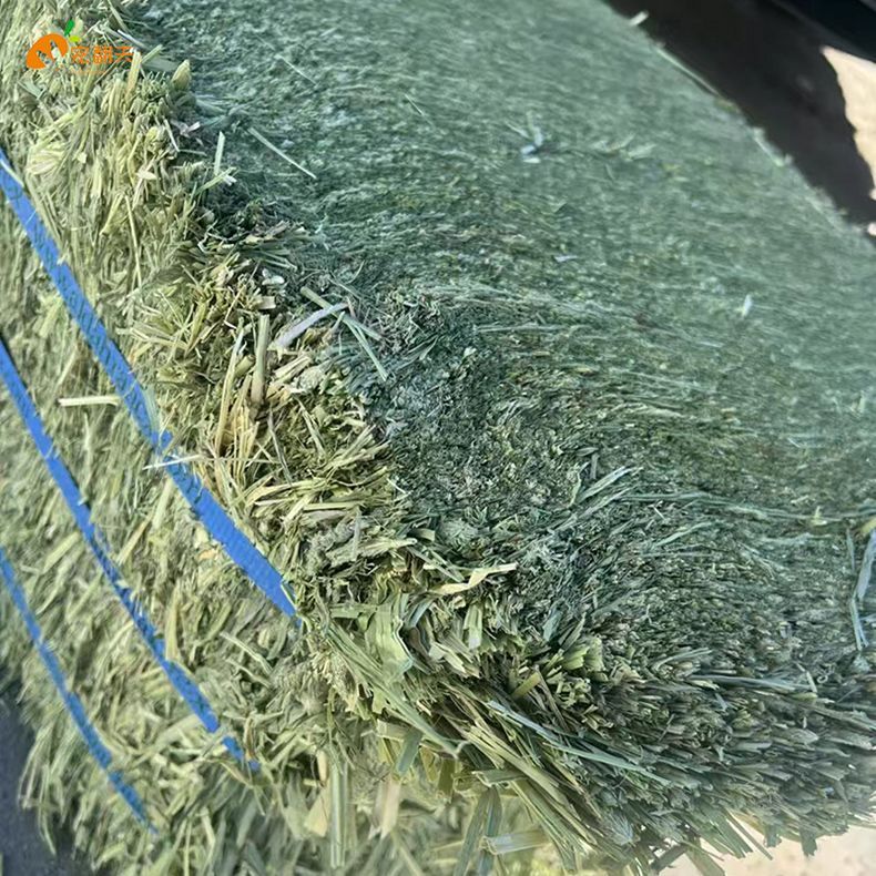 晒干提摩西草，多叶翠绿，青青草香