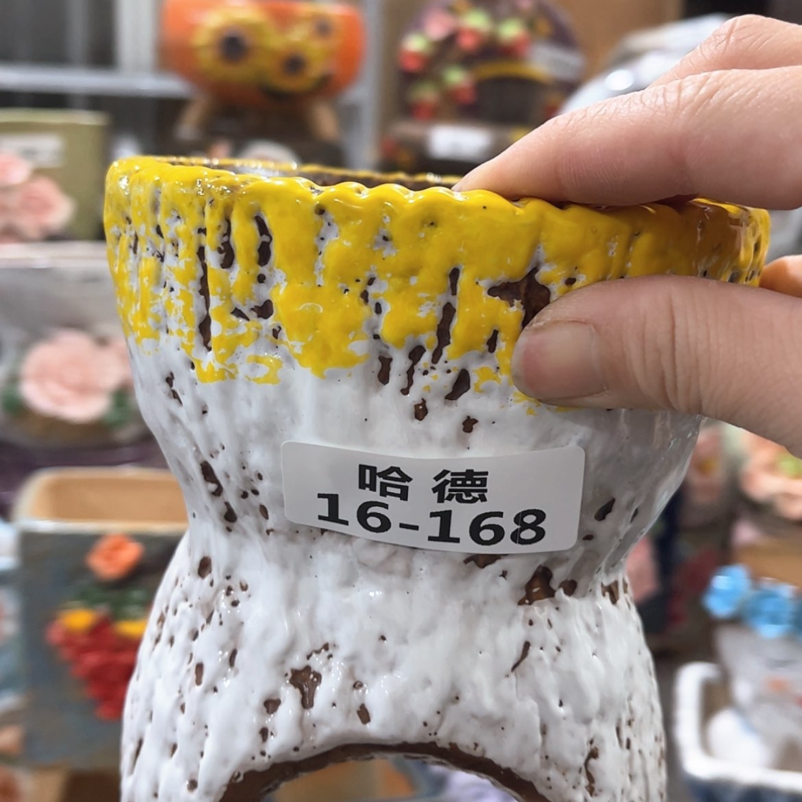 【闪购商品】红陶16168