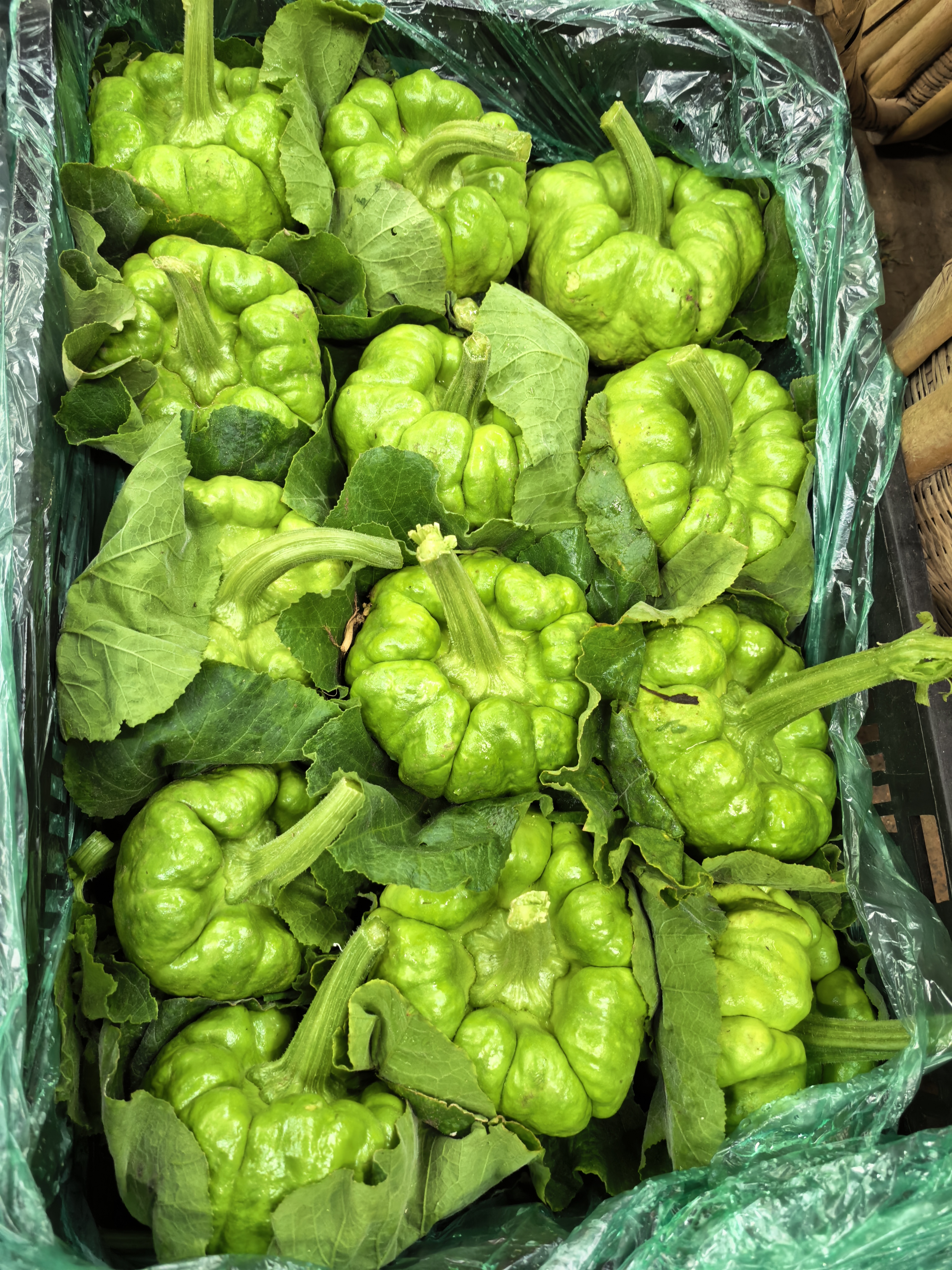 云南高山农家新鲜嫩南瓜