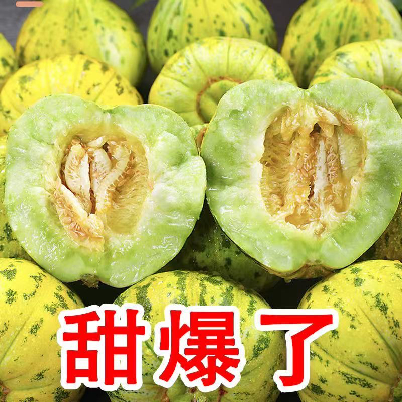 【顺丰包邮】正宗东北头茬八里香甜瓜脆甜可口