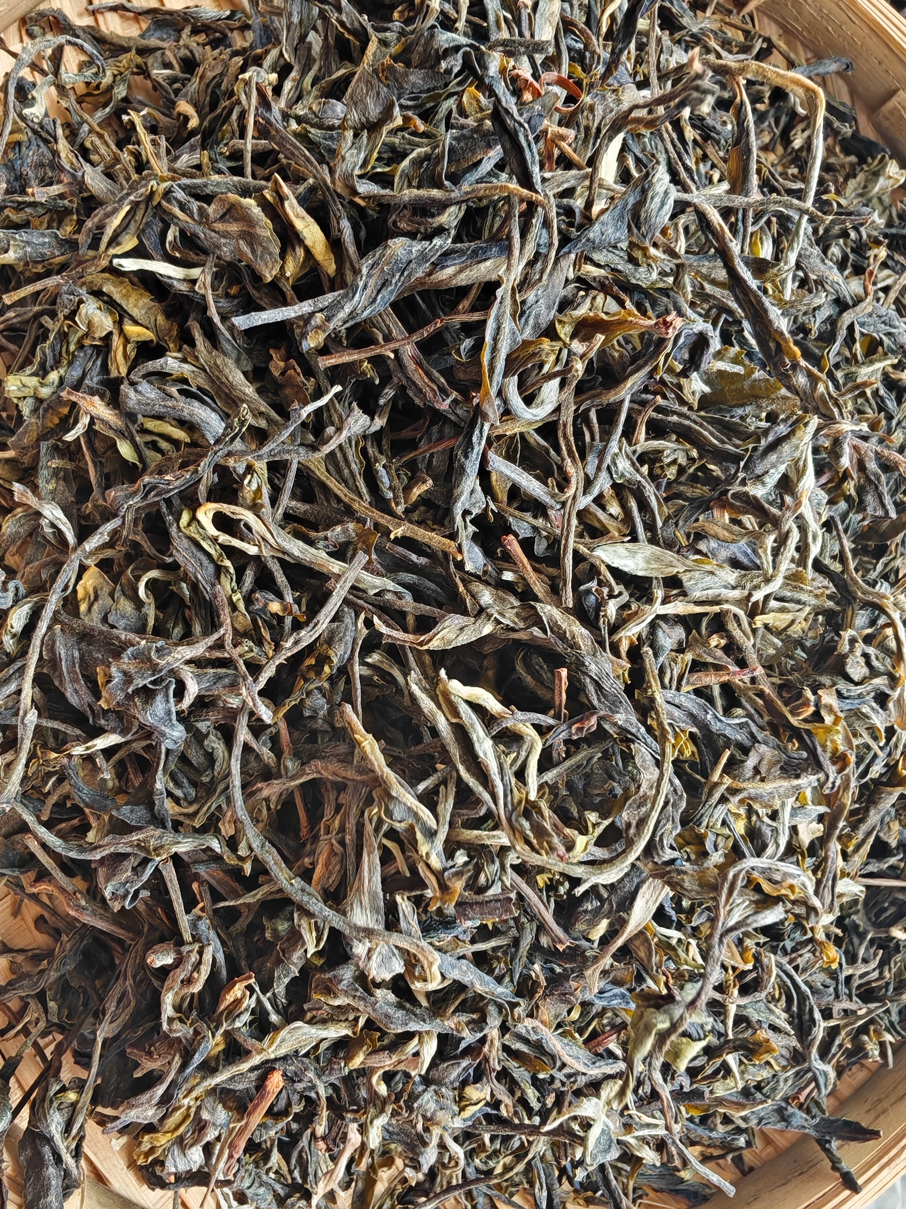 晒青茶（2024年响水河头春古树）