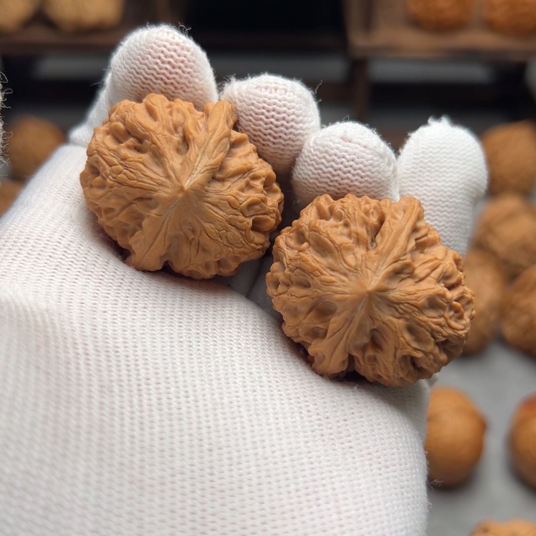 桃核吊坠太行龙纹34.36.35